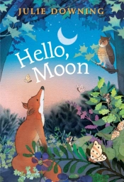 Hello Moon