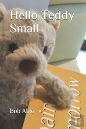 Hello Teddy Small