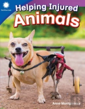 Helping Injured Animals