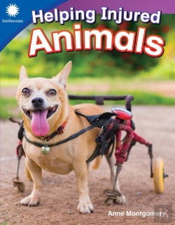 Bertrand.pt - Helping Injured Animals