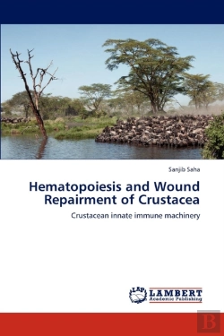 Bertrand.pt - Hematopoiesis And Wound Repairment Of Crustacea