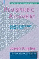 Hemispheric Asymmetry