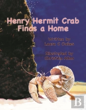 Henry Hermit Crab Finds A Home
