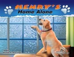 Henry'S Home Alone