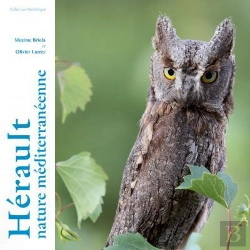 Bertrand.pt - Herault Nature Mediterraneenne