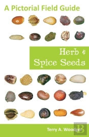Herb And Spice Seeds
