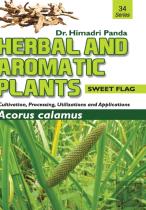 Herbal And Aromatic Plants - 34. Acorus Calamus (Sweet Flag)