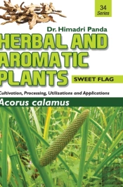 Herbal And Aromatic Plants - 34. Acorus Calamus (Sweet Flag)