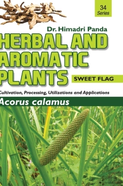 Bertrand.pt - Herbal And Aromatic Plants - 34. Acorus Calamus (Sweet Flag)