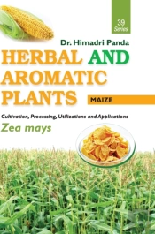 Herbal And Aromatic Plants - 39. Zea Mays (Maize)