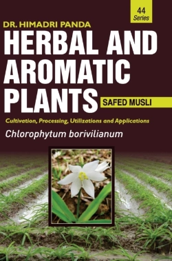 Bertrand.pt - Herbal And Aromatic Plants - 44. Chlorophytum Borivilianum (Safed Musli)
