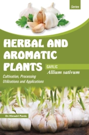 Herbal And Aromatic Plants - Allium Sativum (Garlic)