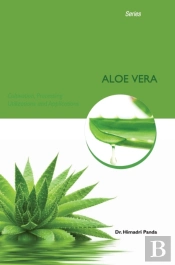 Herbal And Aromatic Plants - Aloe Vera