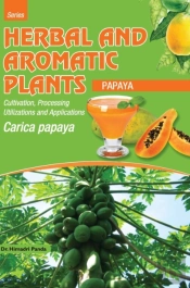Herbal And Aromatic Plants - Carica Papaya (Papaya)