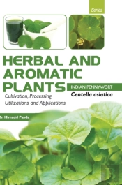 Herbal And Aromatic Plants - Centella Asiatica (Indian Pennywort)