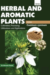 Herbal And Aromatic Plants - Cuminum Cyminum (Zeera)