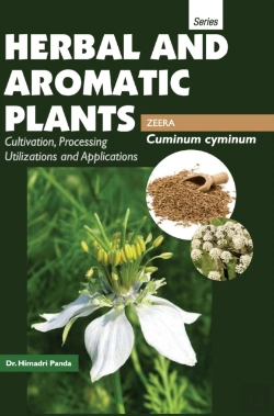 Bertrand.pt - Herbal And Aromatic Plants - Cuminum Cyminum (Zeera)