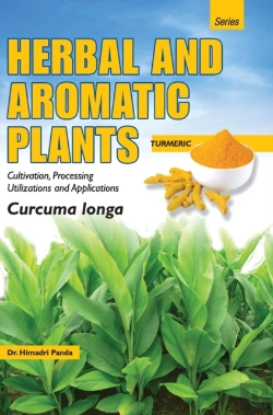 Bertrand.pt - Herbal And Aromatic Plants - Curcuma Longa (Turmeric)