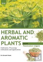 Herbal And Aromatic Plants - Foeniculum Vulgare (Saunf)