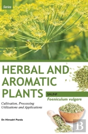 Herbal And Aromatic Plants - Foeniculum Vulgare (Saunf)