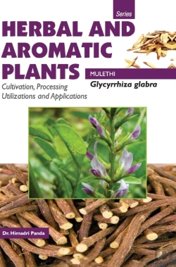 Bertrand.pt - Herbal And Aromatic Plants - Glycyrrhiza Glabra (Mulethi)