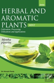 Herbal And Aromatic Plants - Mentha Piperita (Mint)