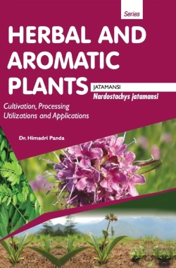 Bertrand.pt - Herbal And Aromatic Plants - Nardostachys Jatamansi (Jatamansi)
