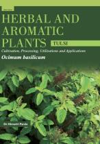 Herbal And Aromatic Plants - Ocimum Basilicum (Tulsi)