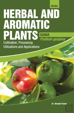 Bertrand.pt - Herbal And Aromatic Plants - Psidium Guajava (Guava)