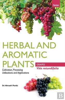 Bertrand.pt - Herbal And Aromatic Plants - Vitis Rotundifolia (Grapes)