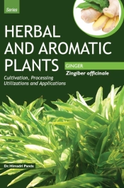 Herbal And Aromatic Plants - Zingiber Officinale (Ginger)