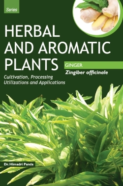 Bertrand.pt - Herbal And Aromatic Plants - Zingiber Officinale (Ginger)