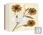 Herbaria: The Pressed Plant Collection Of Beatrix Farrand Notecards