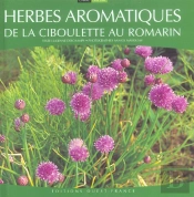 Herbes Aromatiques ; De La Ciboulette Au Romarin