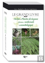 Herbes Et Plantes De Guyane