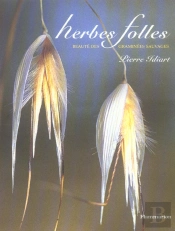 Herbes Folles ; Beaute Des Graminees Sauvages