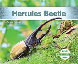 Bertrand.pt - Hercules Beetle