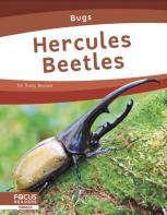 Hercules Beetles