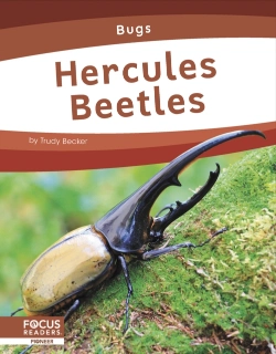 Bertrand.pt - Hercules Beetles