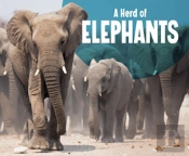 Herd Of Elephants A
