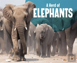Bertrand.pt - Herd Of Elephants A