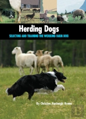 Herding Dogs