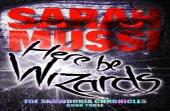 Here Be Wizards