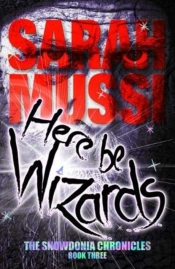 Here Be Wizards