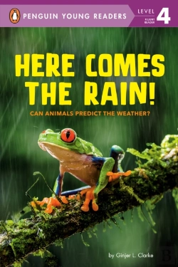 Bertrand.pt - Here Comes The Rain!