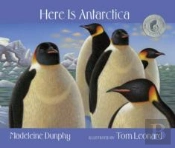 Here Is Antarctica