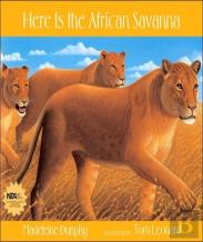 Here Is The African Savanna