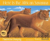 Here Is The African Savanna