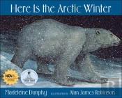 Here Is The Arctic Winter