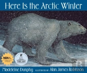 Here Is The Arctic Winter